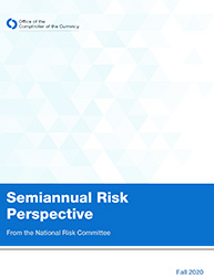 Semiannual Risk Perspective, Fall 2020